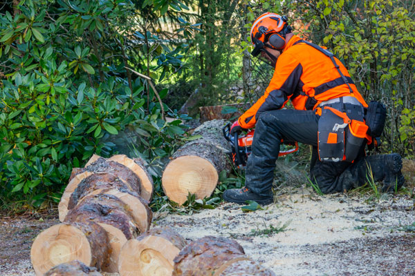 Puun pätkiminen klapimittaan