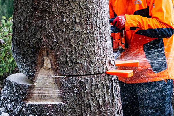 Puiden kaato Lohja - suora kaato